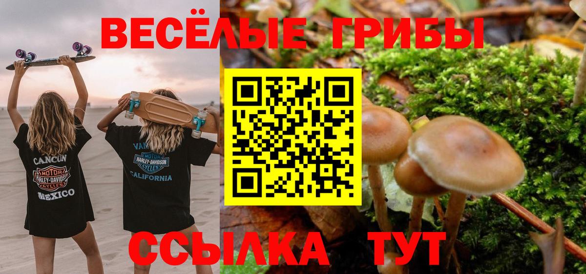 Псилоцибиновые грибы MAGIC MUSHROOMS  Псилоцибиновые грибы Psilocybine cubensis  Вход с VPN  Осинники 