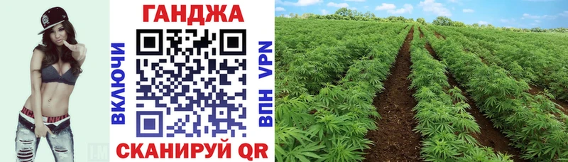 kraken зеркало  Осинники  Канабис сатива  цены наркотик 